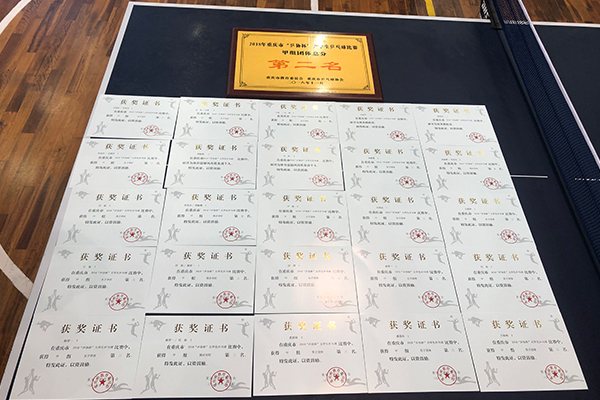 91视频网站在线观看