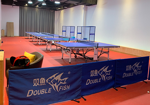 乒乓球直板反膠基本的技術是怎樣的 乒乓球直板反膠基本的技術是怎樣的