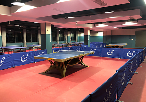 重慶91视频在线免费基地