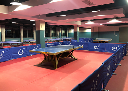 91视频网站在线观看學校