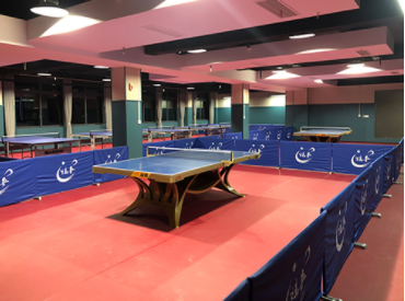 91视频网站在线观看學校